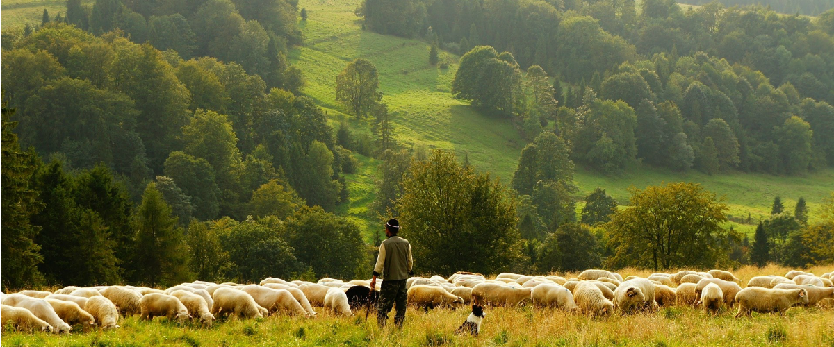 Yorkshire Dales.