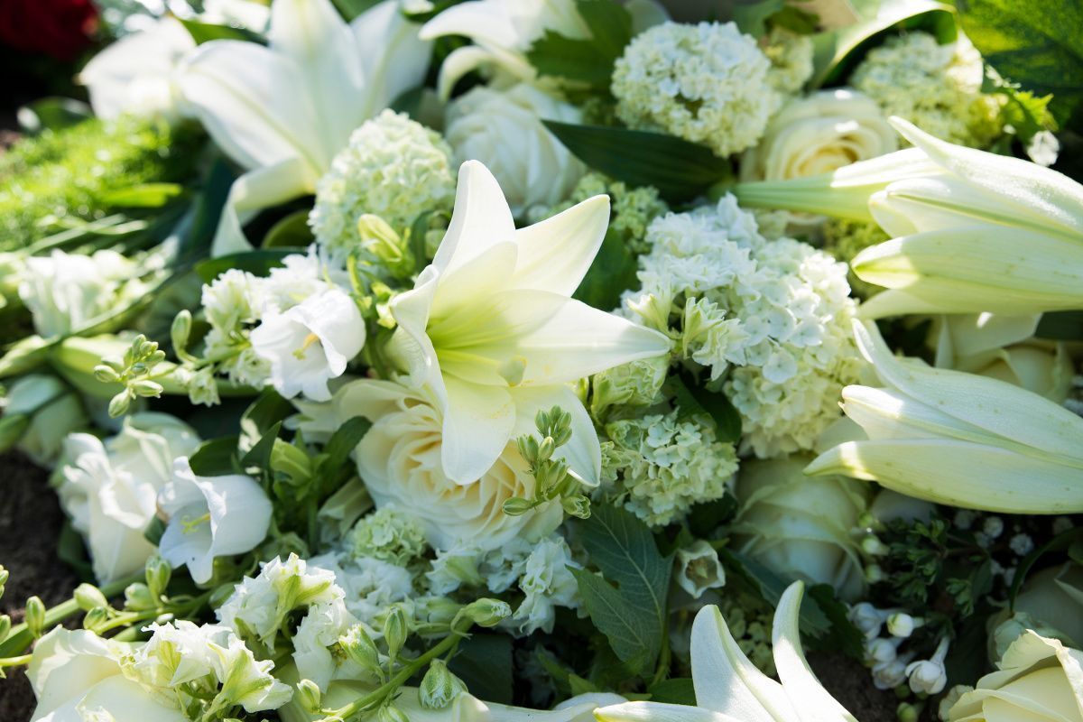Funeral wakes York